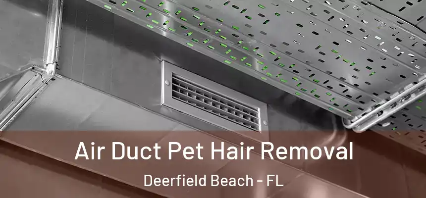 Air Duct Pet Hair Removal Deerfield Beach - FL