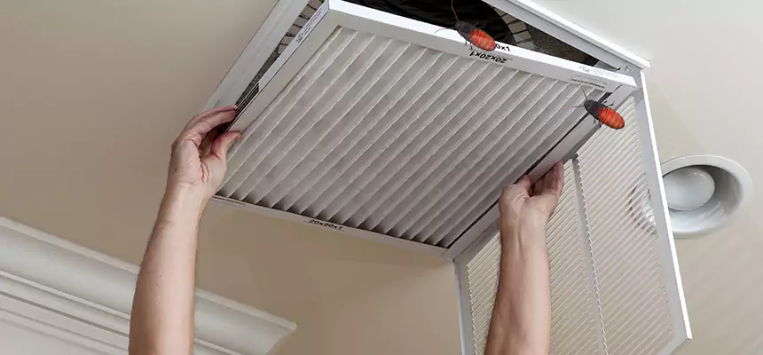 Preventive Cockroach-Proofing for Ducts in Deerfield Beach