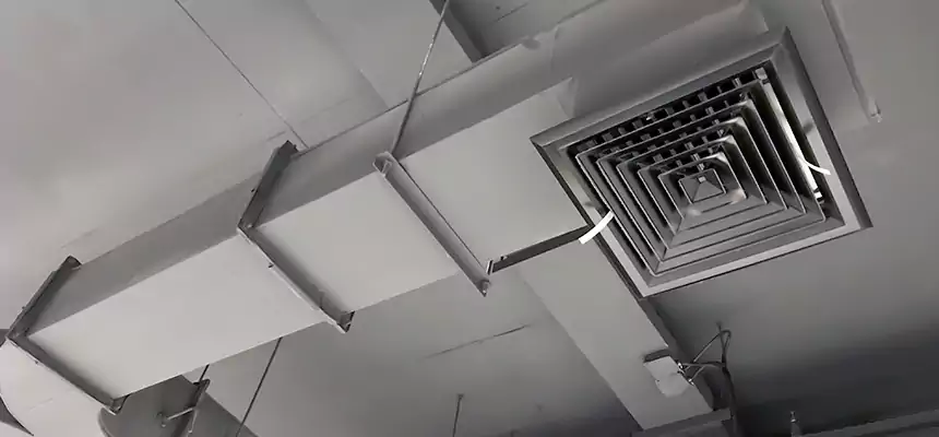 Restorative Allergy Relief Vent Cleaning – Coil, Blower & Housing Detail in Deerfield Beach