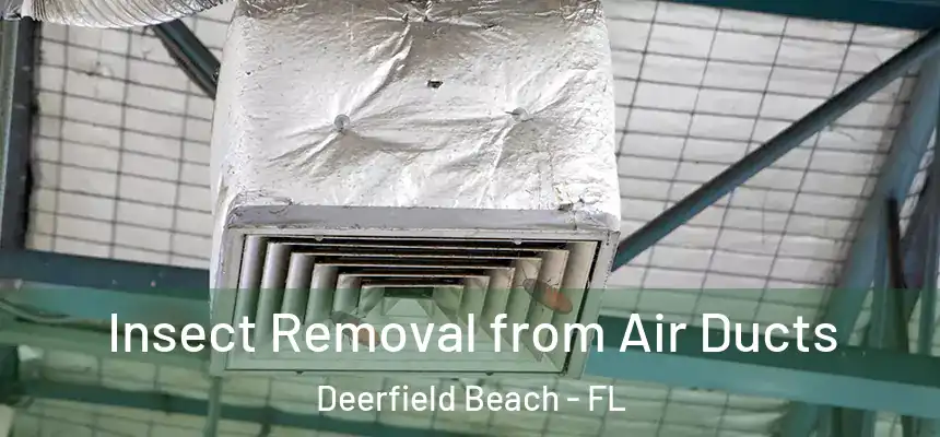 Insect Removal from Air Ducts Deerfield Beach - FL