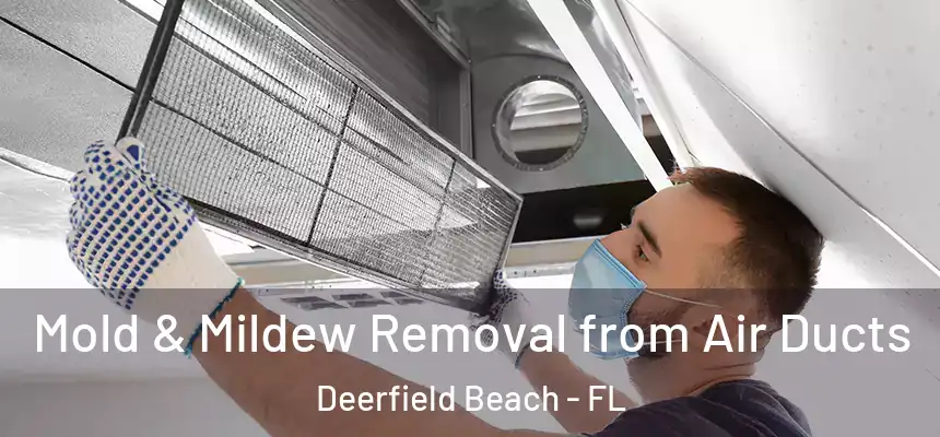 Mold & Mildew Removal from Air Ducts Deerfield Beach - FL