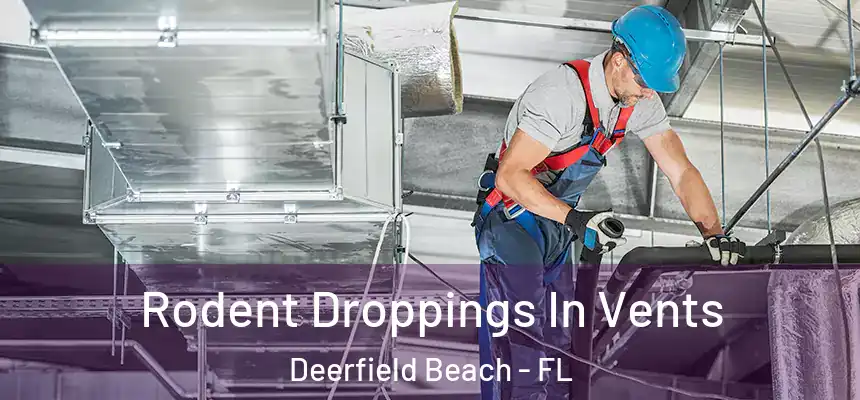 Rodent Droppings In Vents Deerfield Beach - FL
