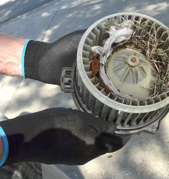 About Air Duct Mice Removal in Deerfield Beach, FL