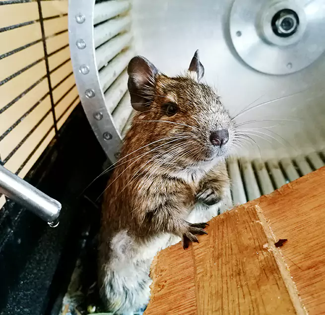 Why Homeowners & Businesses Trust Us Deerfield Beach, FL